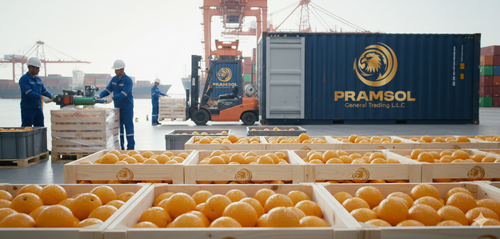 Fresh oranges in crates beside a Pramsol shipping container